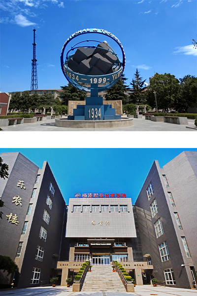 歲月流金 · 青春不散場(chǎng)