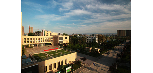 我的大學(xué)-大學(xué)志