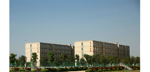 我的大學(xué)-大學(xué)志