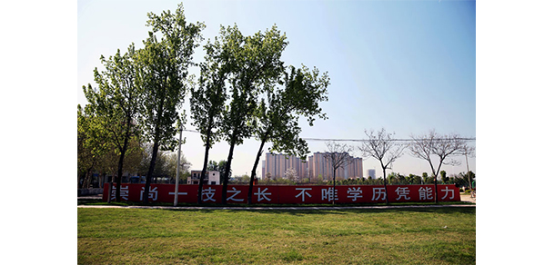 我的大學(xué)-大學(xué)志