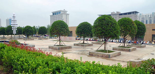 我的大學-大學志