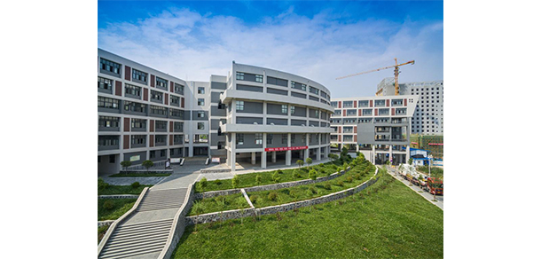 我的大學-大學志