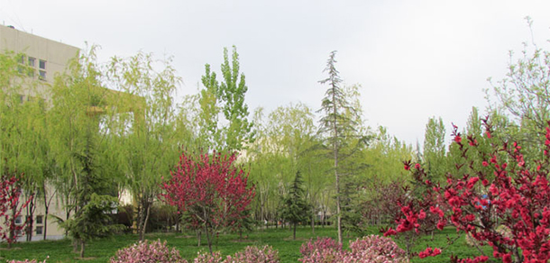 我的大學(xué)-大學(xué)志