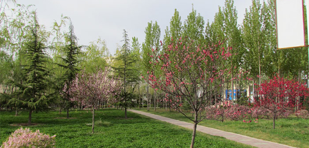 我的大學(xué)-大學(xué)志