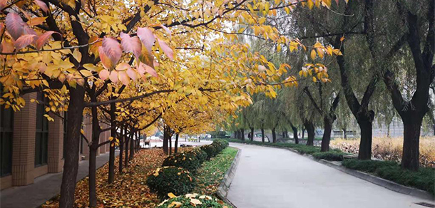 我的大學(xué)-大學(xué)志