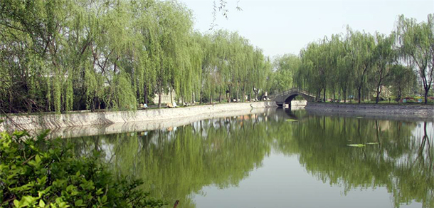 我的大學(xué)-大學(xué)志