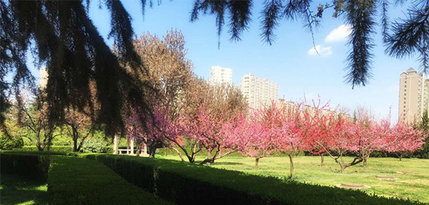 我的大學(xué)-大學(xué)志