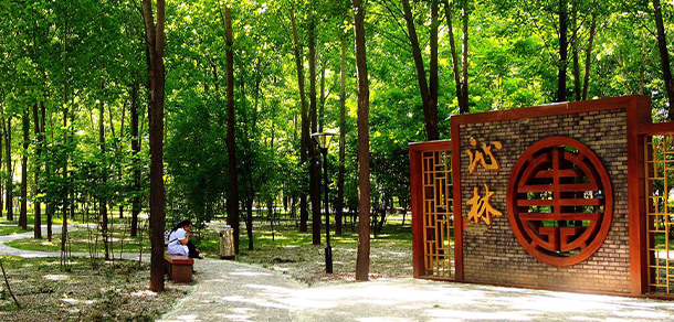 我的大學(xué)-大學(xué)志