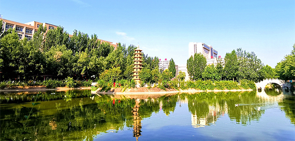 我的大學(xué)-大學(xué)志
