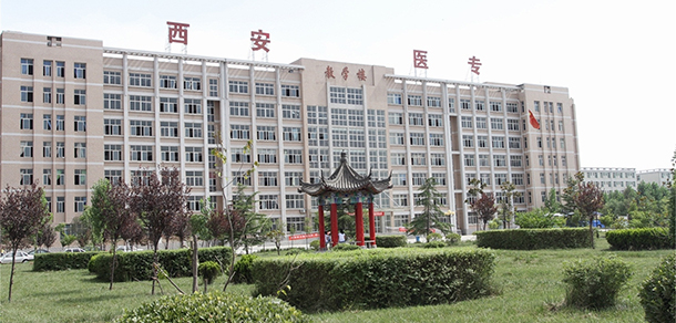 我的大學(xué)-大學(xué)志
