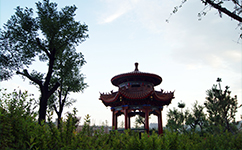 歷史沿革（概）校史