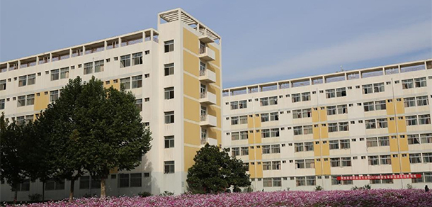 我的大學(xué)-大學(xué)志