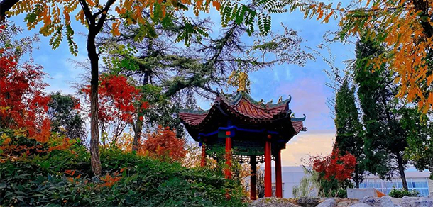 我的大學(xué)-大學(xué)志