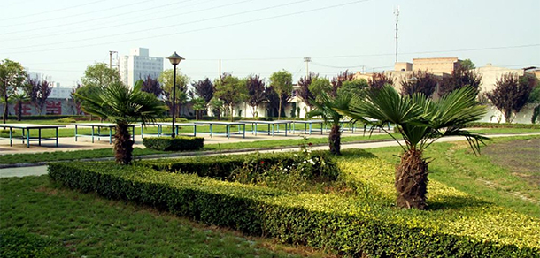我的大學(xué)-大學(xué)志