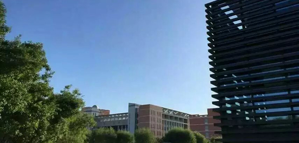 我的大學(xué)-大學(xué)志