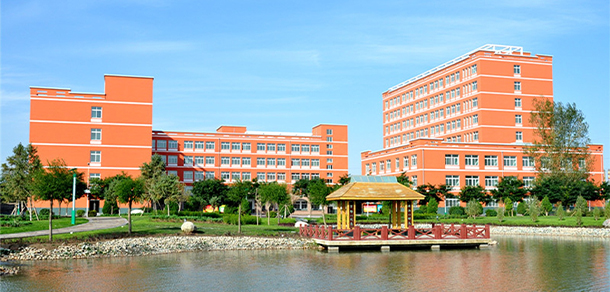我的大學(xué)-大學(xué)志