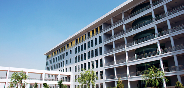 我的大學(xué)-大學(xué)志