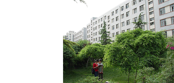 我的大學(xué)-大學(xué)志