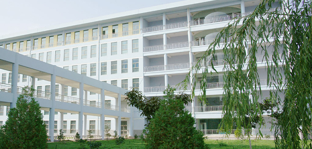 我的大學(xué)-大學(xué)志