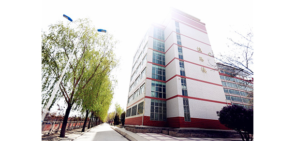 我的大學(xué)-大學(xué)志