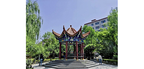 我的大學(xué)-大學(xué)志