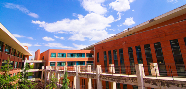 我的大學-大學志