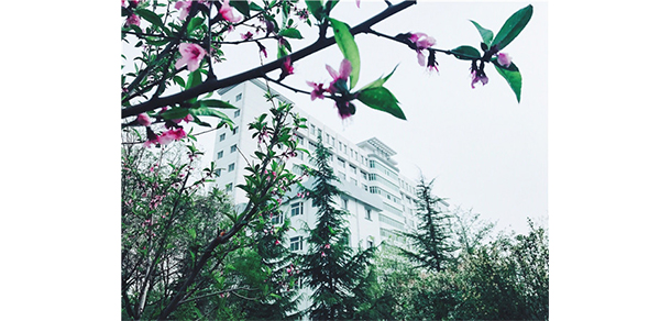 我的大學-大學志