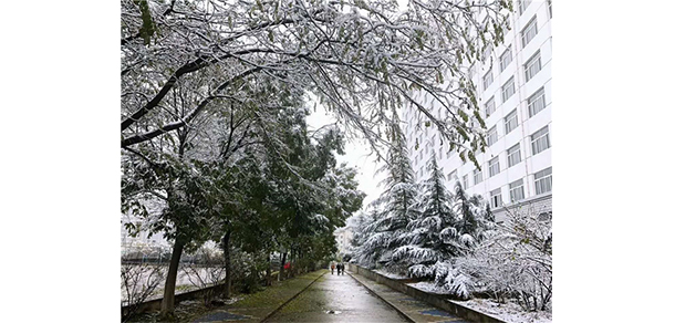 我的大學-大學志