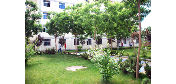 我的大學-大學志