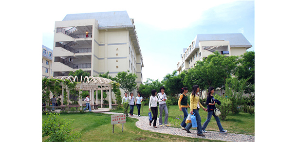 我的大學-大學志