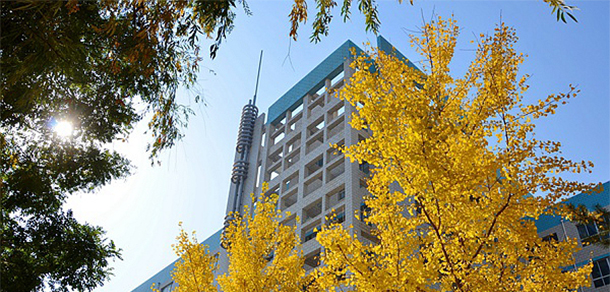 我的大學(xué)-大學(xué)志