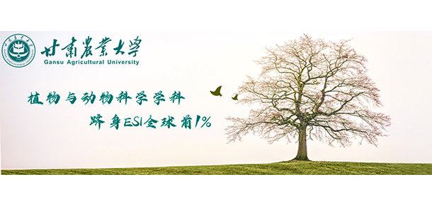 我的大學(xué)-大學(xué)志