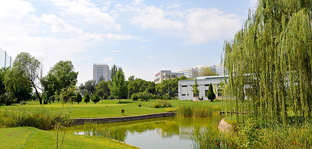 我的大學(xué)-大學(xué)志