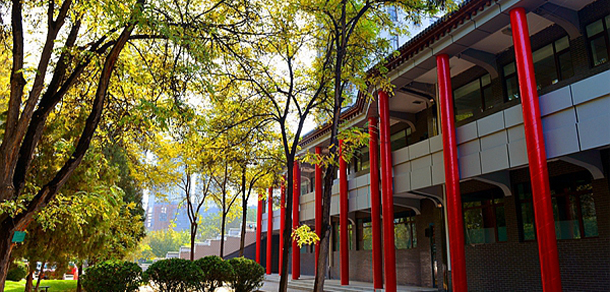 我的大學(xué)-大學(xué)志