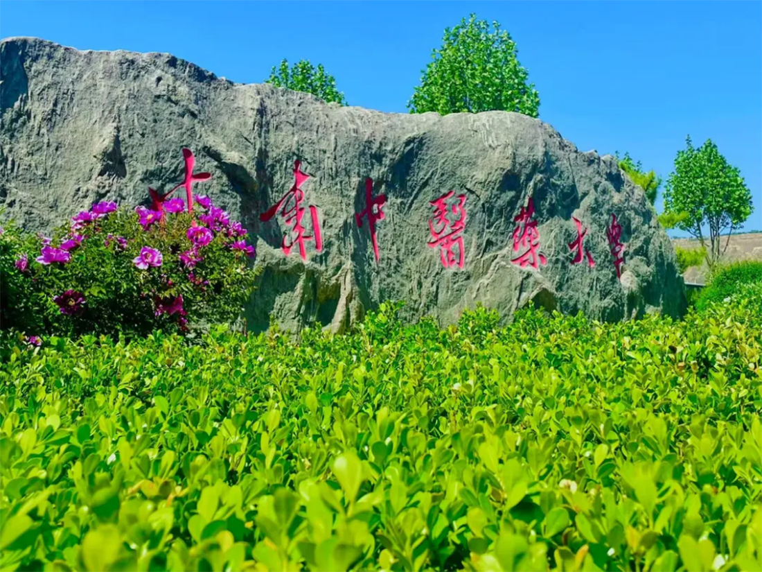 甘肅中醫(yī)藥大學(xué)