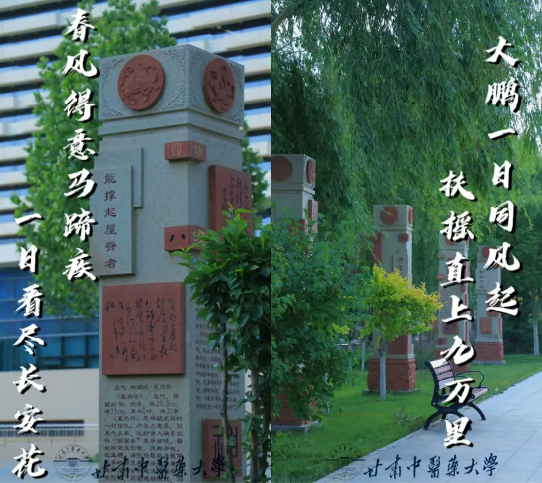 高考倒計(jì)時(shí)10天｜愿你執(zhí)筆為劍，不負(fù)熱血青春！
