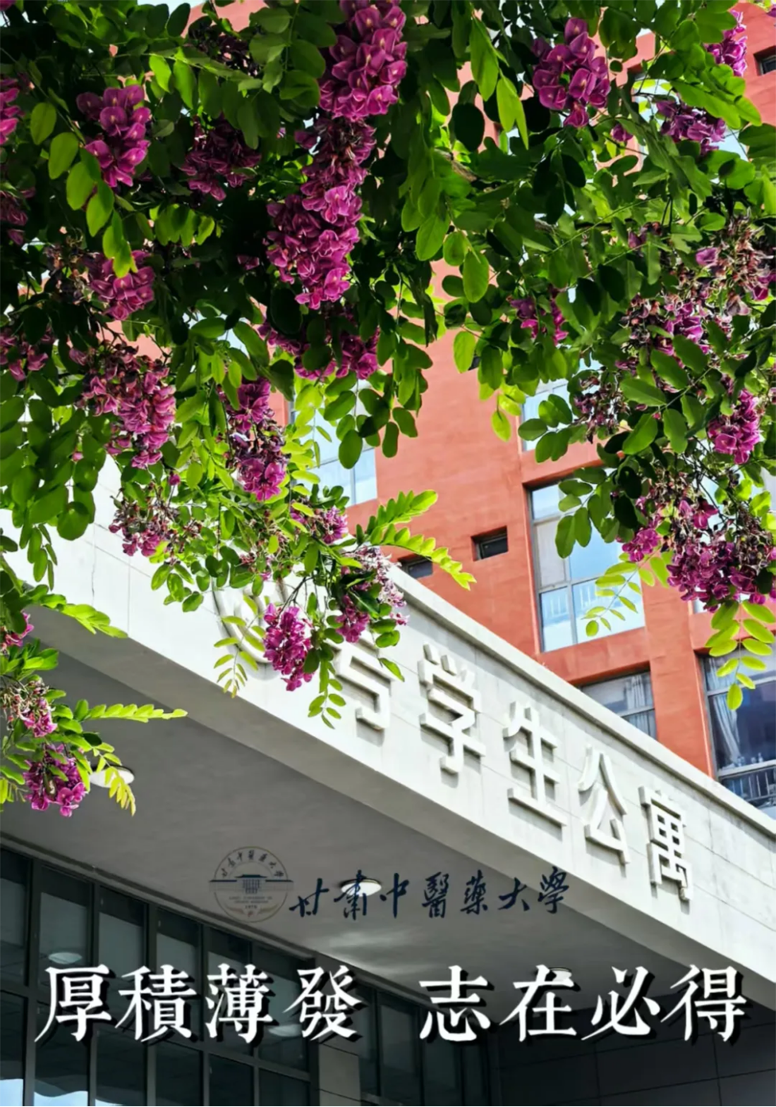 高考倒計(jì)時(shí)10天｜愿你執(zhí)筆為劍，不負(fù)熱血青春！