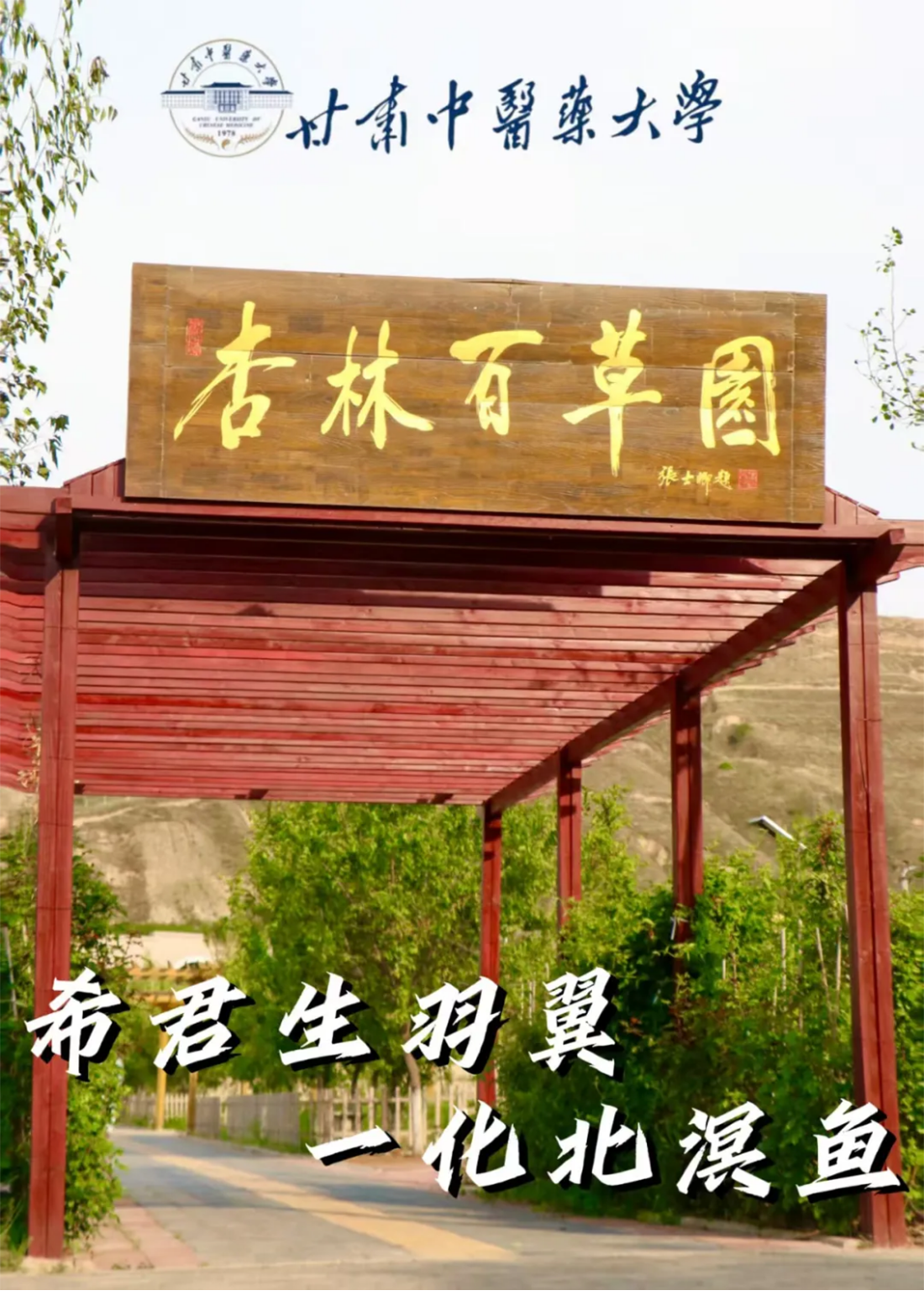 高考倒計(jì)時(shí)10天｜愿你執(zhí)筆為劍，不負(fù)熱血青春！