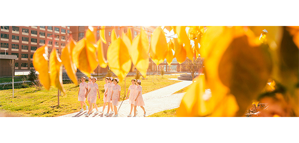 我的大學(xué)-大學(xué)志