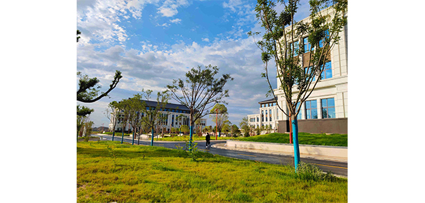 我的大學(xué)-大學(xué)志