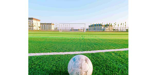 我的大學(xué)-大學(xué)志