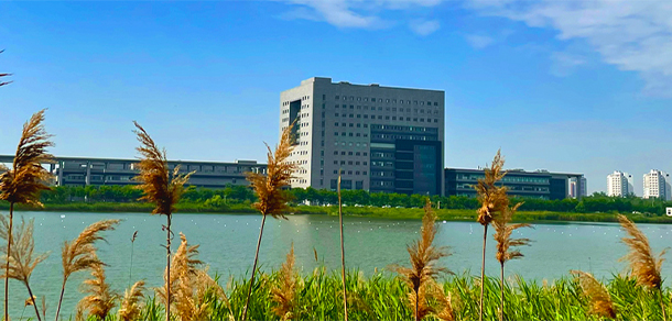 我的大學(xué)-大學(xué)志
