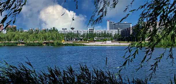 我的大學(xué)-大學(xué)志