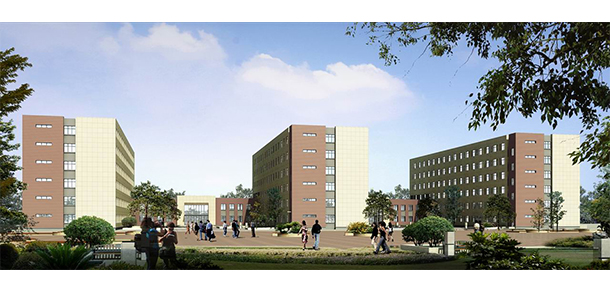 我的大學(xué)-大學(xué)志
