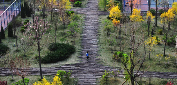 我的大學(xué)-大學(xué)志