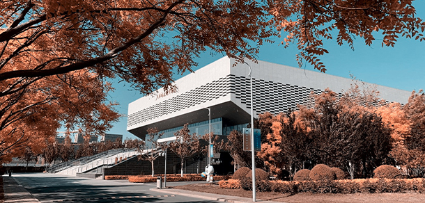 我的大學(xué)-大學(xué)志
