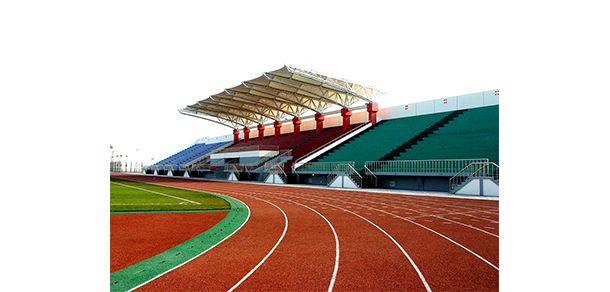 我的大學(xué)-大學(xué)志