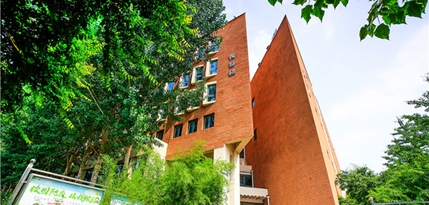 我的大學(xué)-大學(xué)志