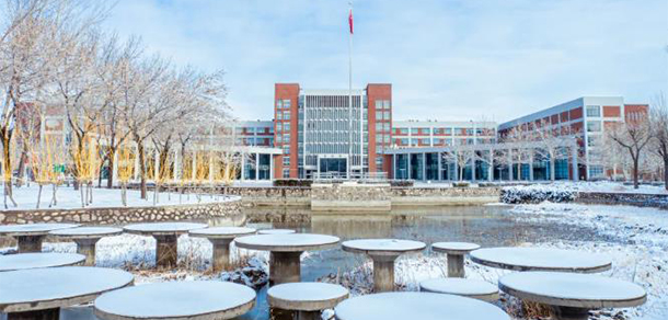 我的大學(xué)-大學(xué)志
