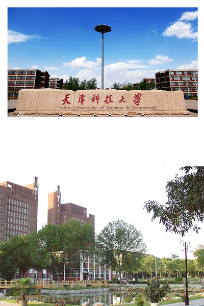 歲月流金 · 青春不散場